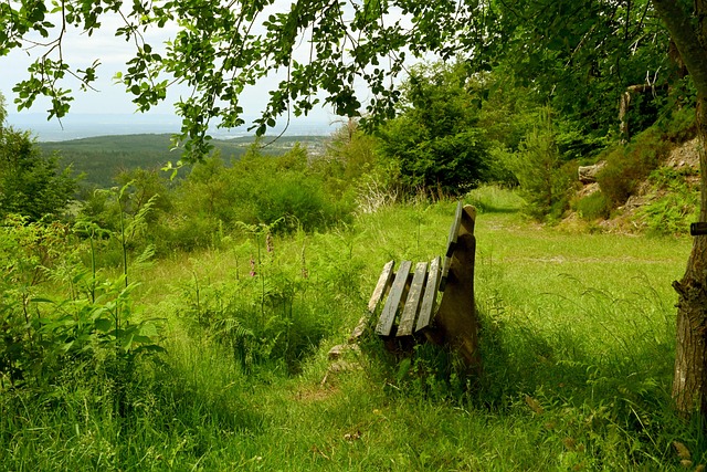 转会市场上 转会市场上