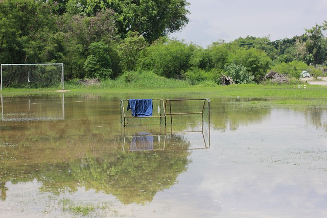拜仁已经为 拜仁已经为