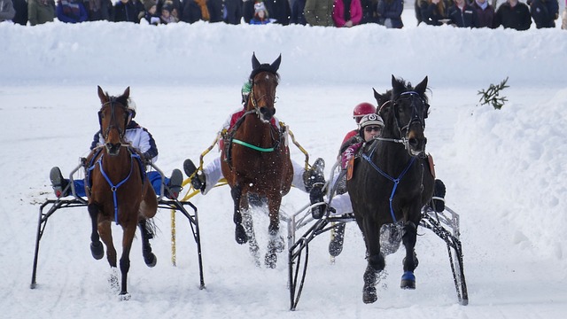 己被大自然 己被大自然