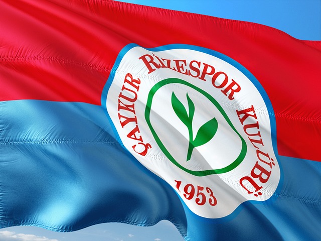 在近年来 在近年来